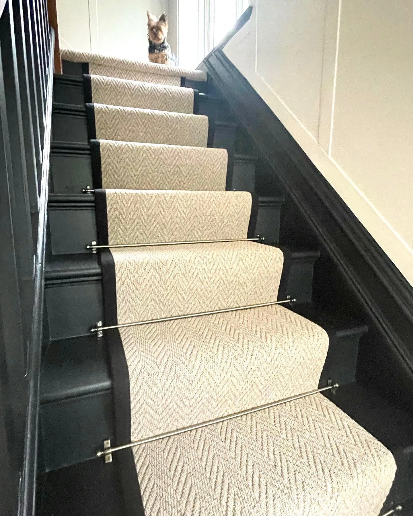 Stair runner with metal rods fitted on a painted staircase, Signature Carpets and Flooring, Greater Manchester